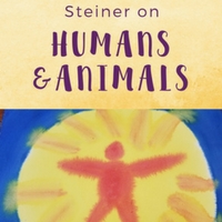 steiner animals