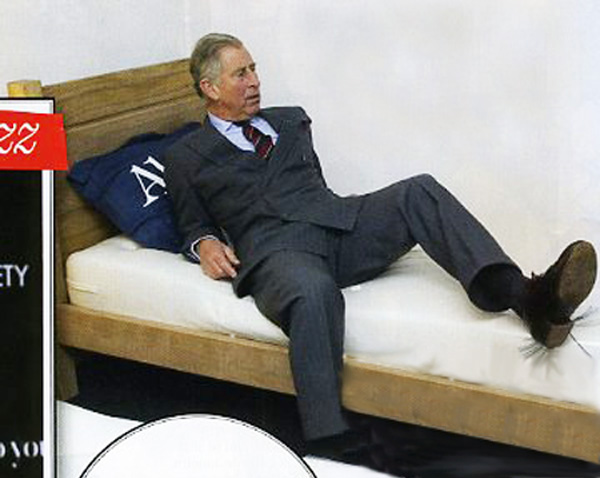 Prince Charles ridiculous 2