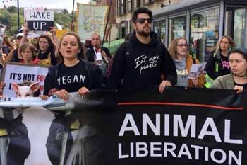 animal rights