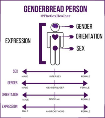 Genderbread person