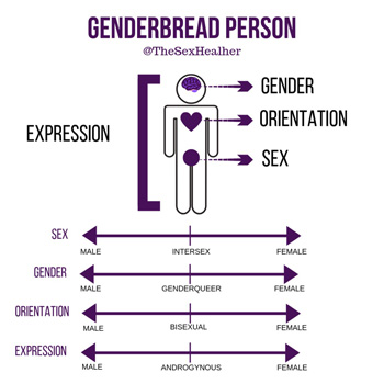 Genderbread person