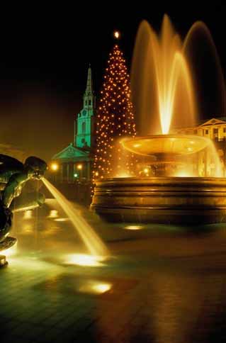 A large Christmas tree in Trafalgar Square, London