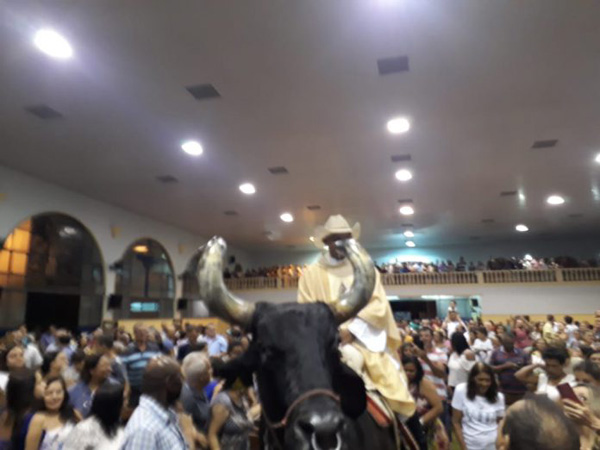 Bull at Mass 2