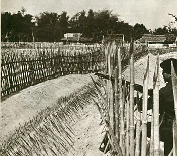 A photograph of a successful Strategic Hamlet during the Vietnam War