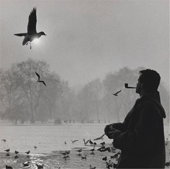 man with pipe watching bird