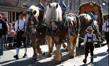 Michelmas in Furth, Middle Franconia