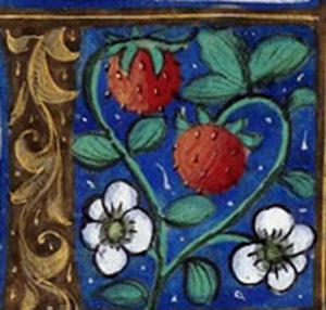 STRAWBERRY letter manuscript